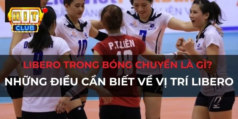 Libero Là Gì? Kiến Thức Cơ Bản Về Libero Trong Bóng Chuyền