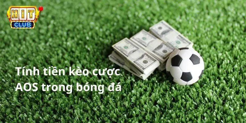 Lưu ý quan trọng khi chơi kèo Aos cho bet thủ